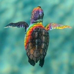 Meet your Posher, Judith